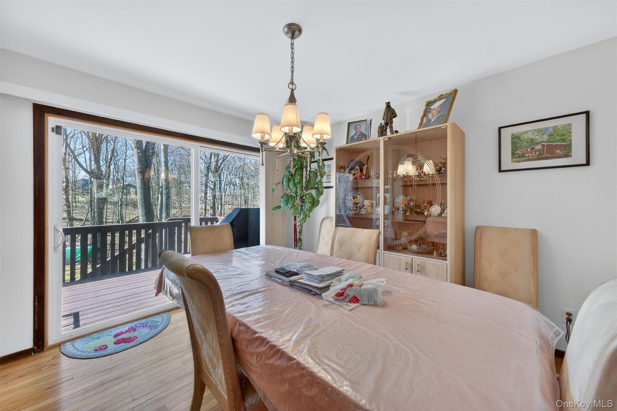 Single Family Sachson  Dutchess County, NY 12590, MLS-973164-10