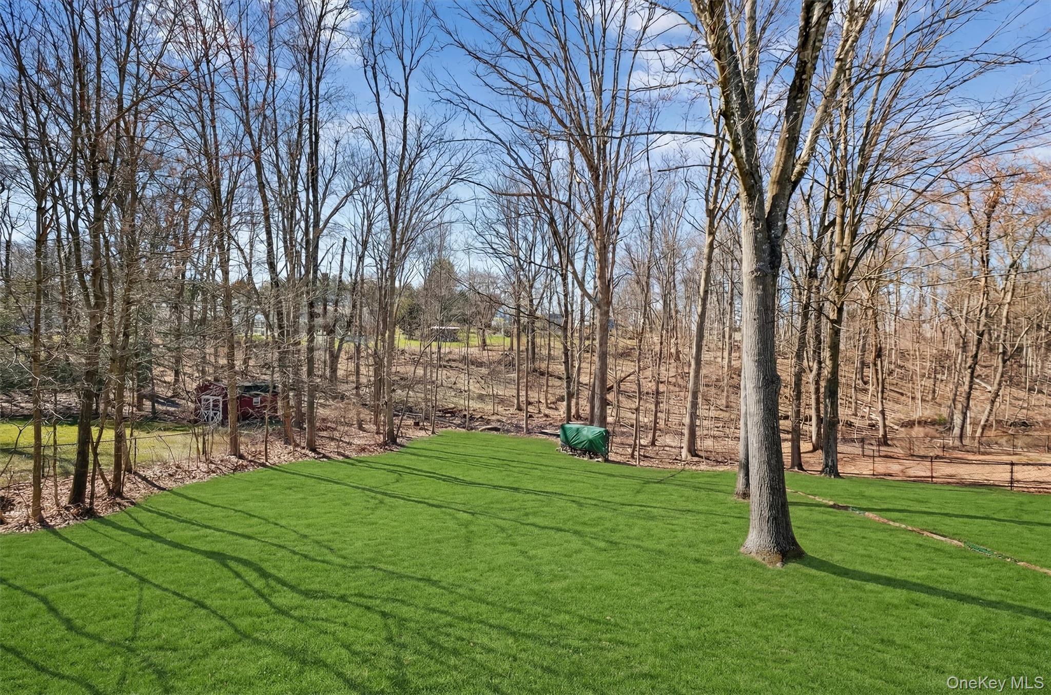 Single Family Sachson  Dutchess County, NY 12590, MLS-973164-29