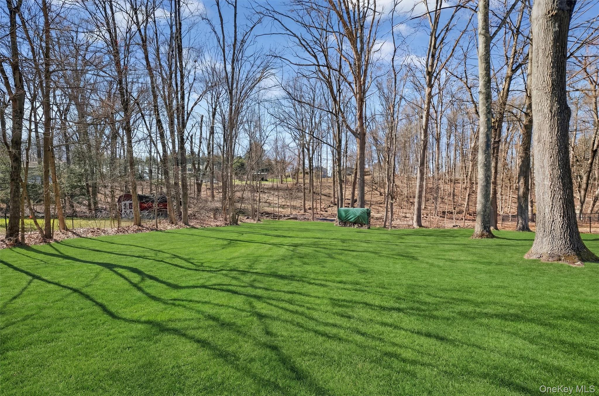 Single Family Sachson  Dutchess County, NY 12590, MLS-973164-31