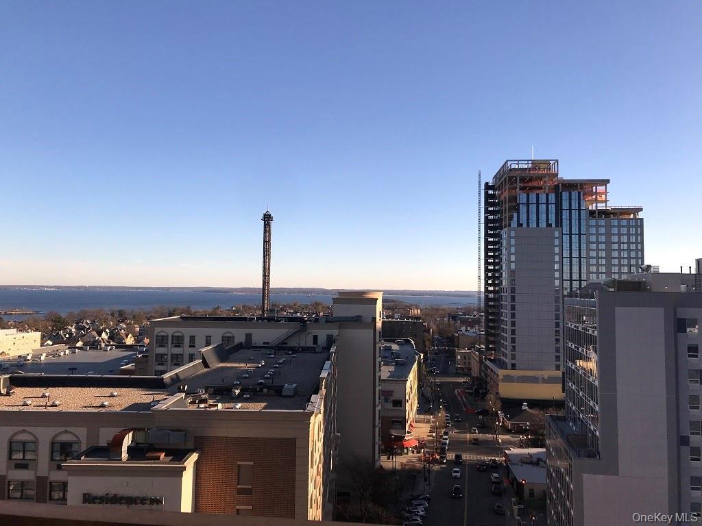 Condo Huguenot Westchester County, NY 10801, MLS-973172-19