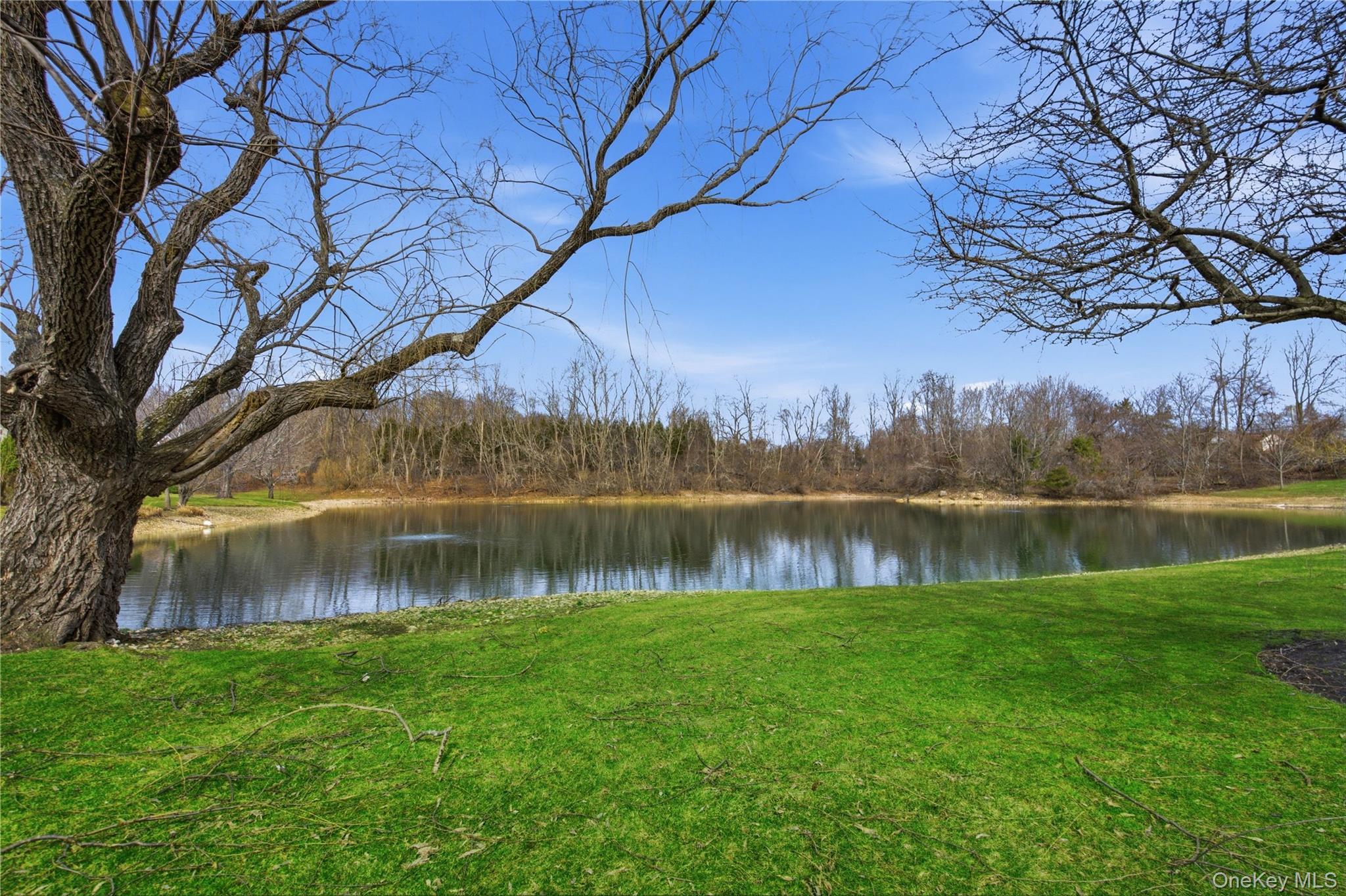 Condo Thomas  Suffolk County, NY 11733, MLS-973173-28