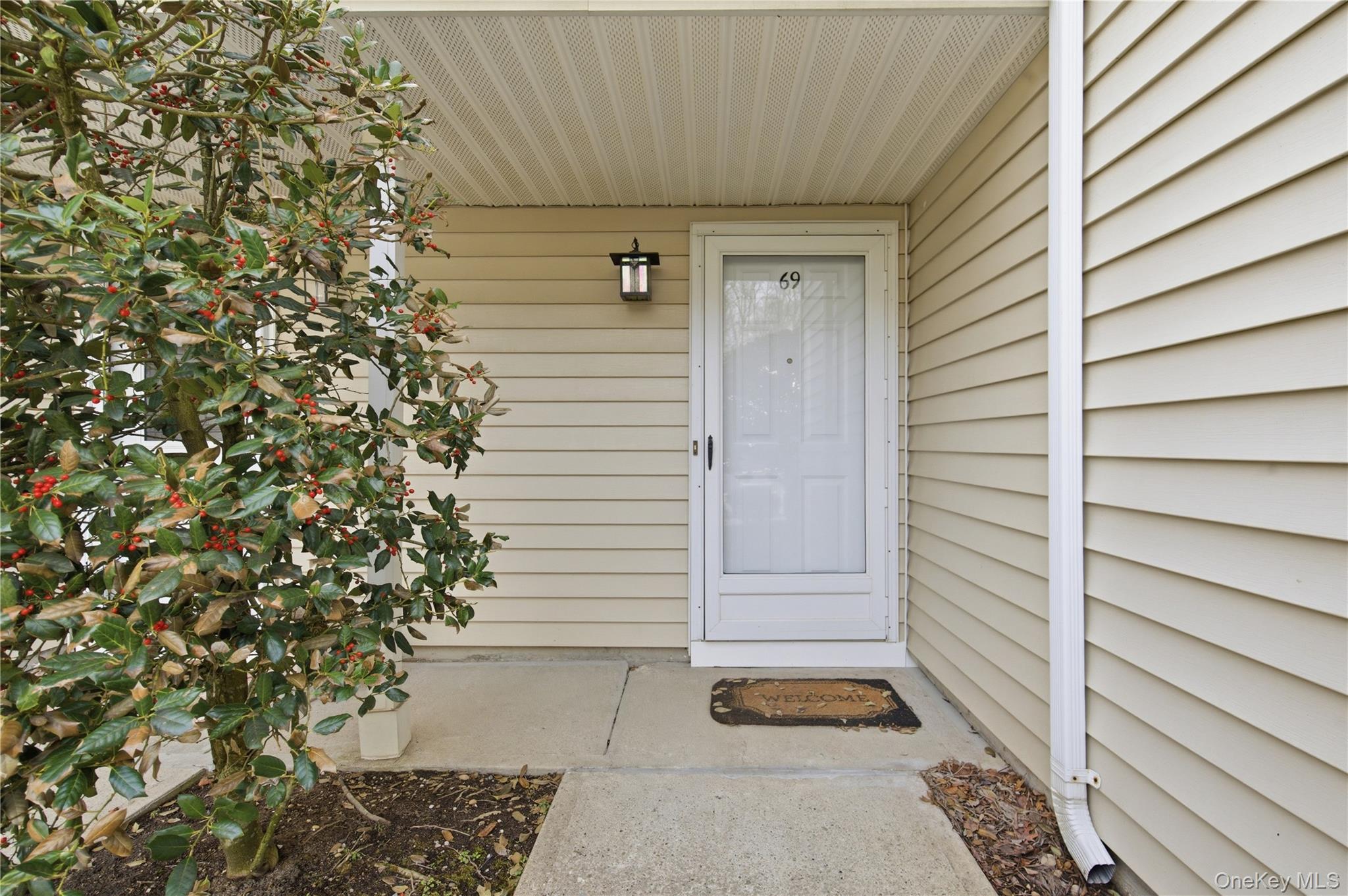 Condo Thomas  Suffolk County, NY 11733, MLS-973173-4