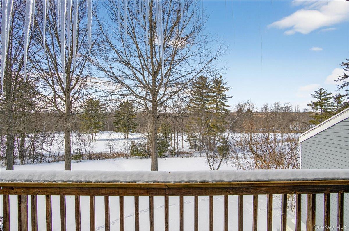 Single Family Terrace  Out Of Area, NY 12866, MLS-973185-47