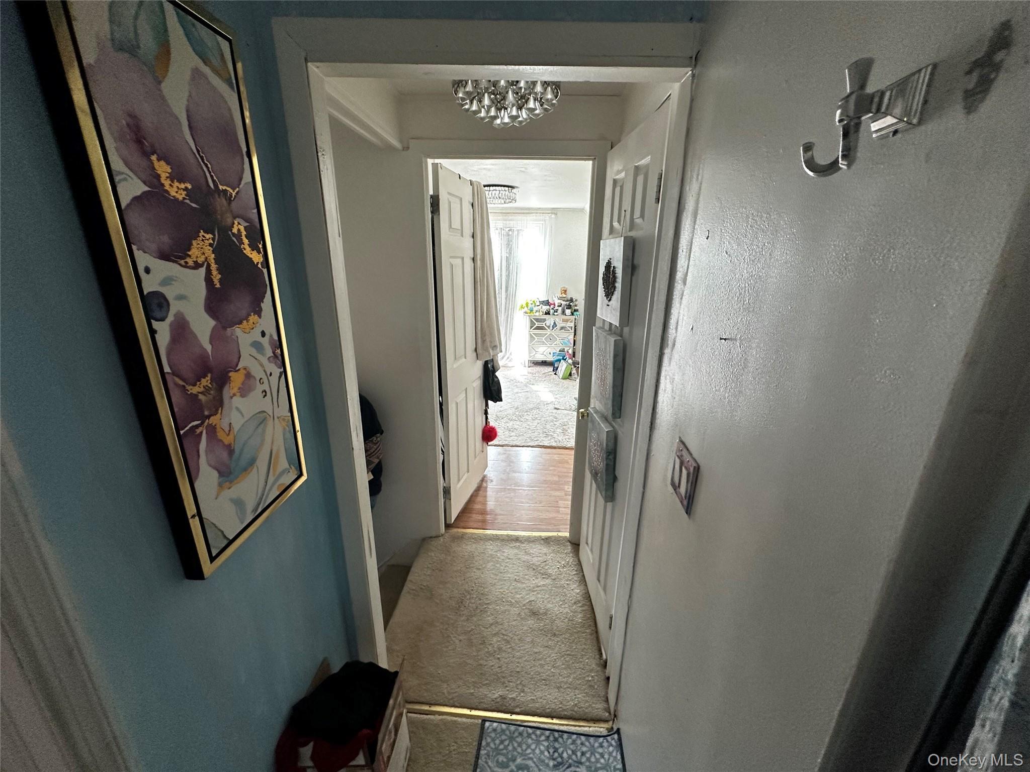 Single Family 148th  Queens, NY 11422, MLS-973192-17