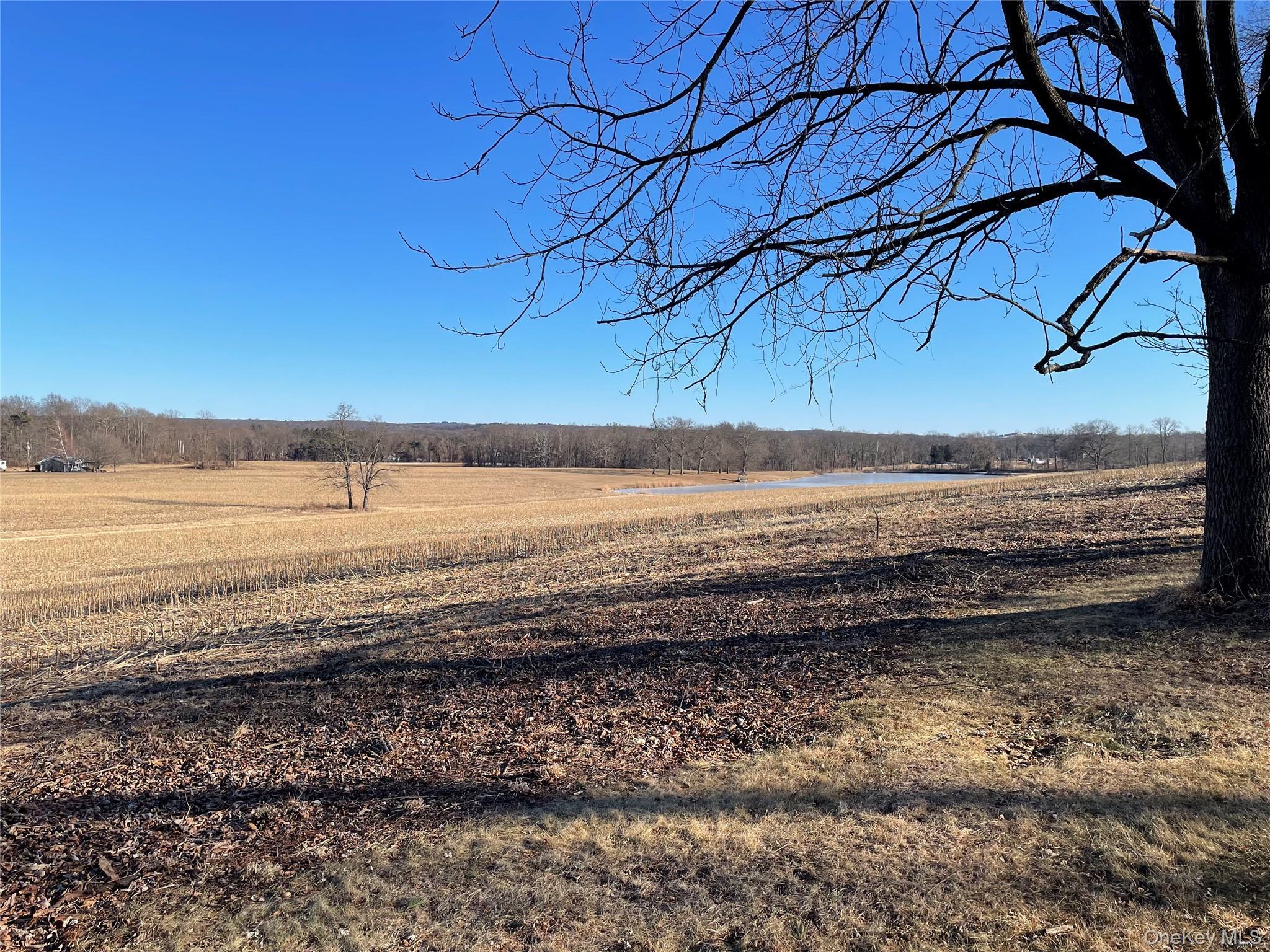 Single Family Rokeby  Dutchess County, NY 12571, MLS-973208-22