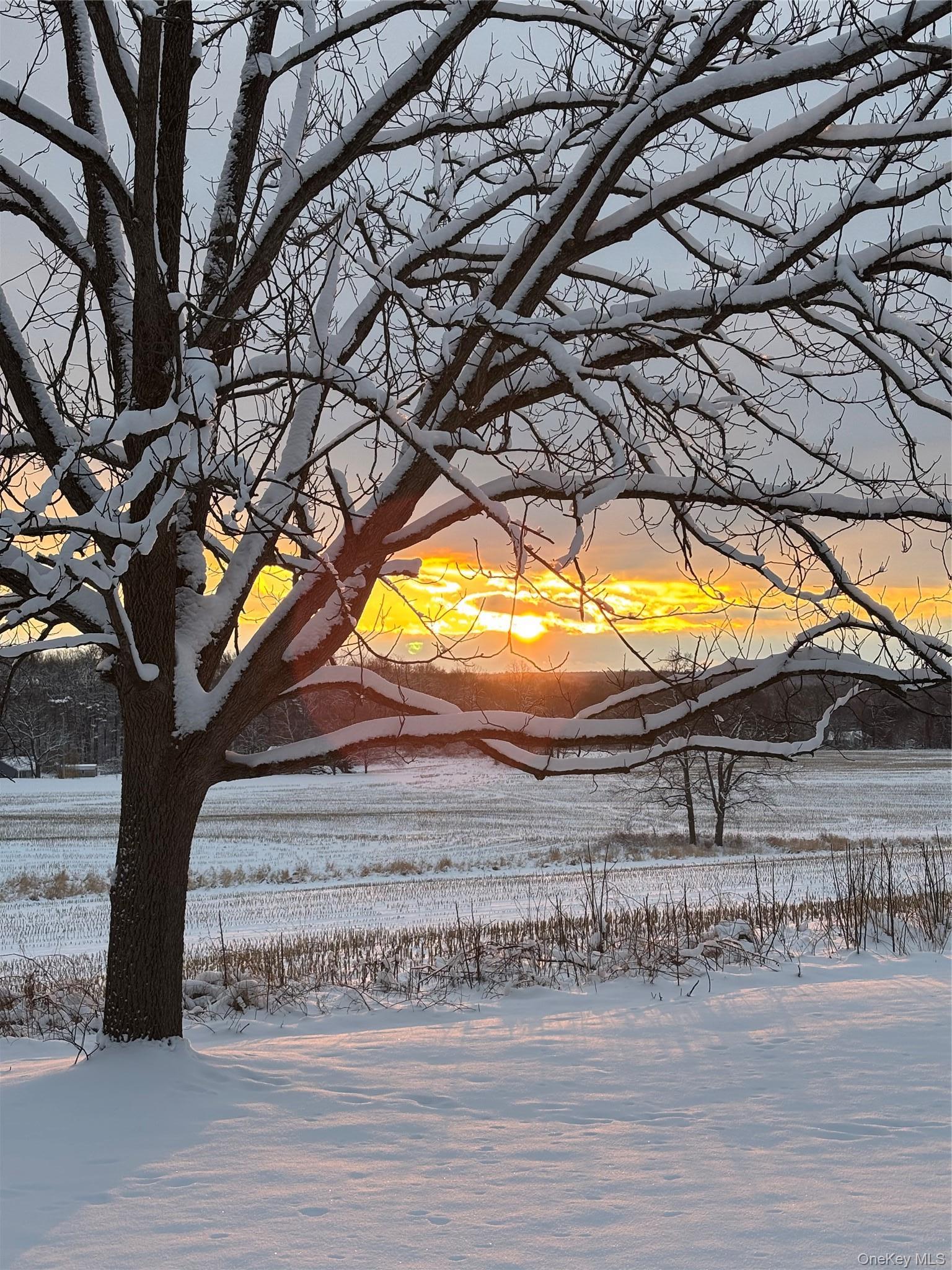 Single Family Rokeby  Dutchess County, NY 12571, MLS-973208-3