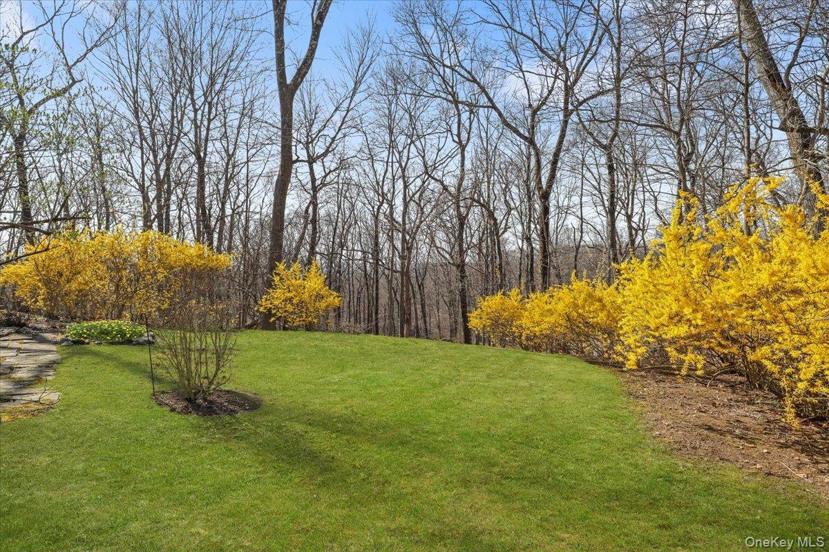 Single Family Lily Pond  Westchester County, NY 10536, MLS-973211-18