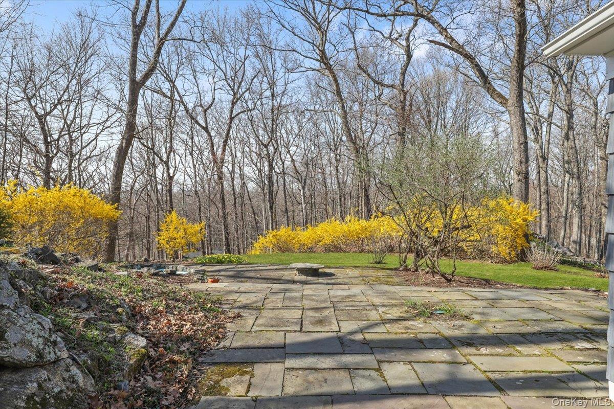 Single Family Lily Pond  Westchester County, NY 10536, MLS-973211-19