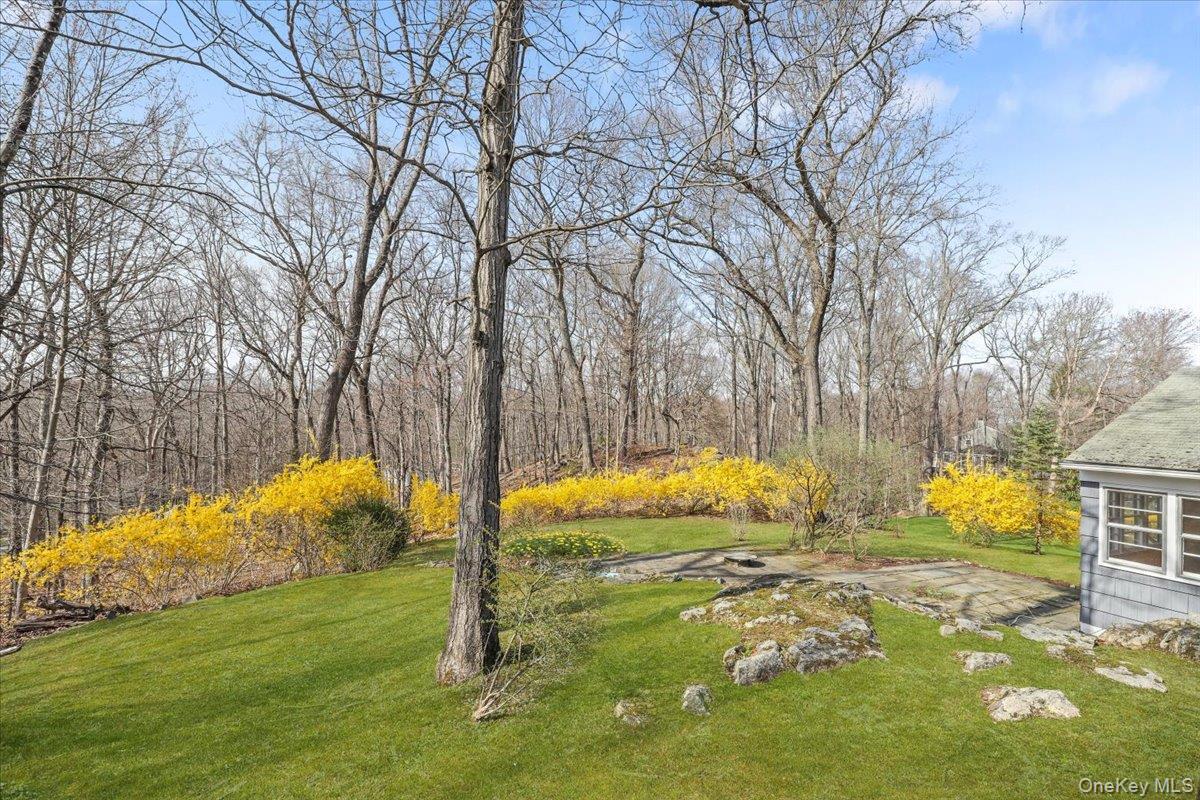 Single Family Lily Pond  Westchester County, NY 10536, MLS-973211-20