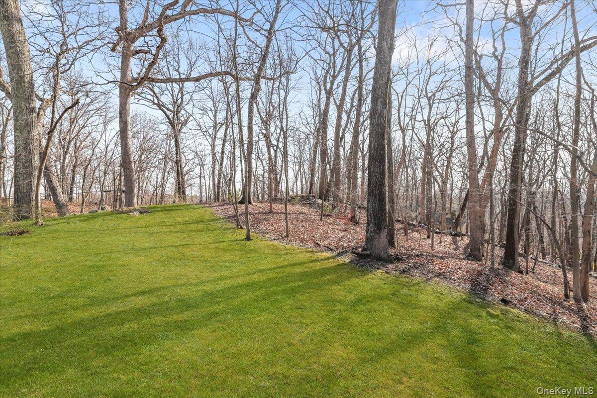 Single Family Lily Pond  Westchester County, NY 10536, MLS-973211-23