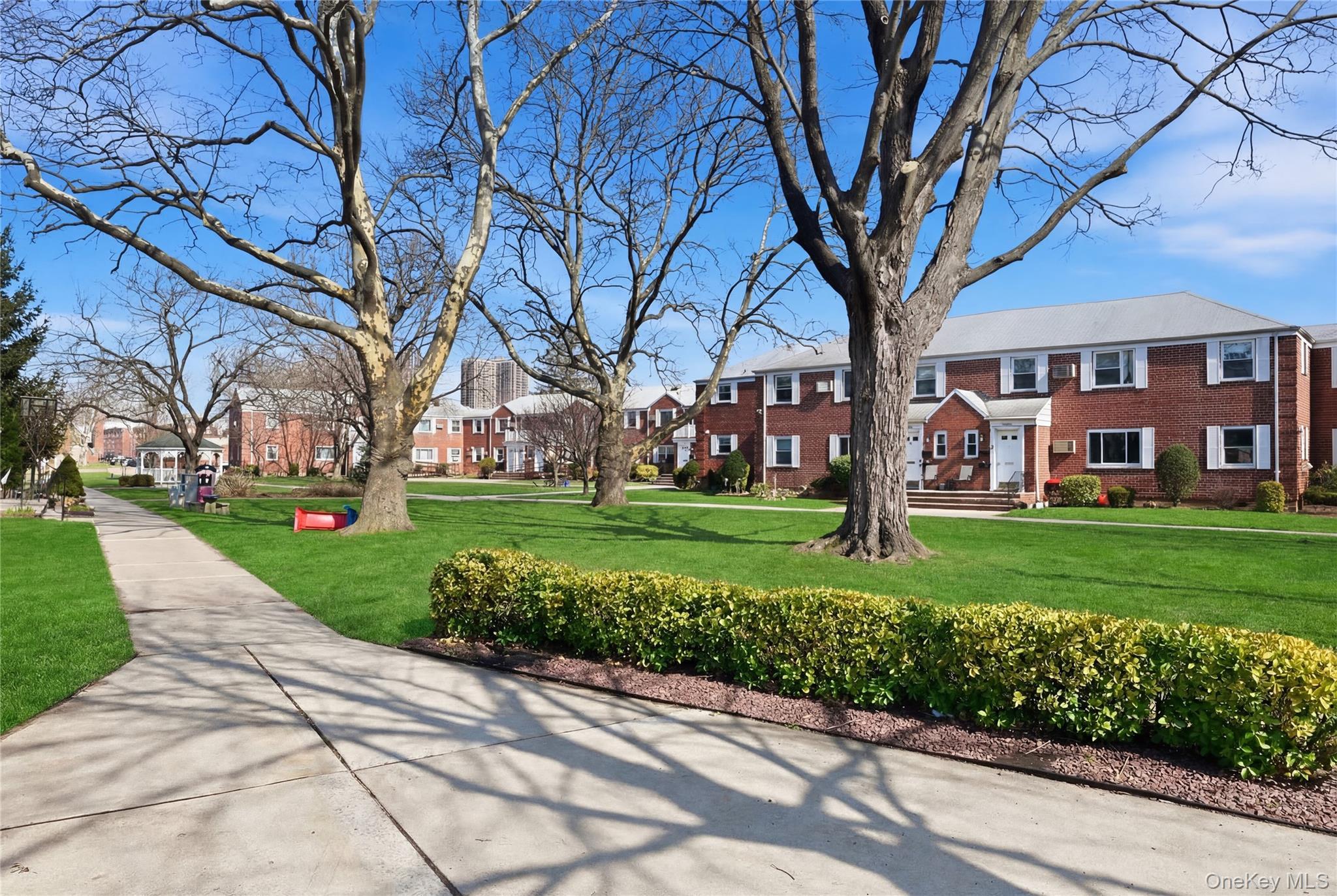 Coop Union  Queens, NY 11004, MLS-973216-29