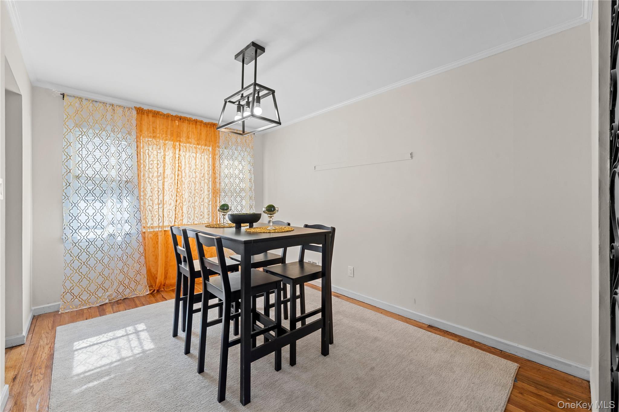 Single Family 180th  Queens, NY 11433, MLS-973230-11