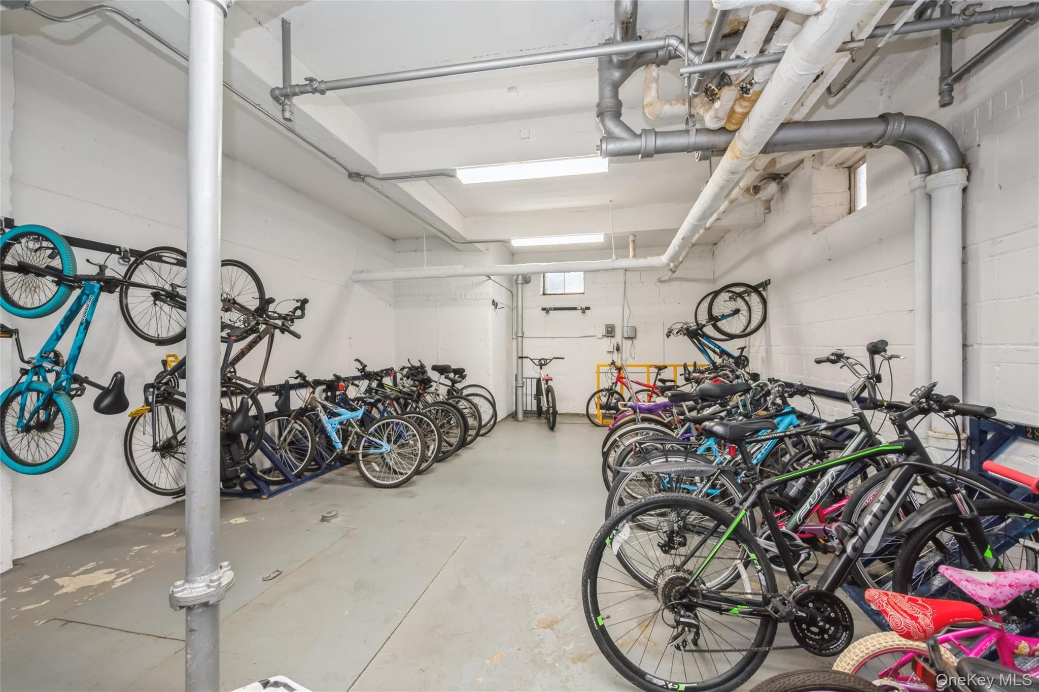 Coop Brooklyn  Nassau County, NY 11520, MLS-973252-12