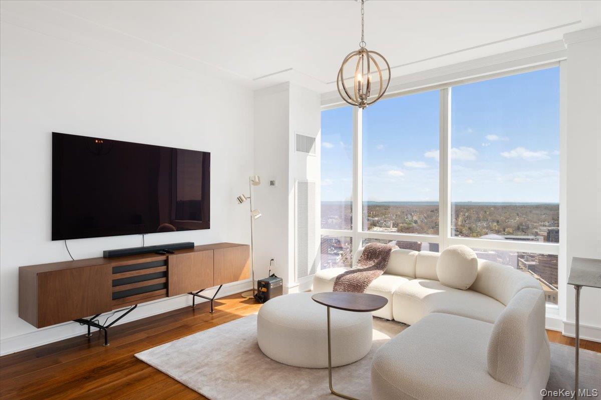 Condo Renaissance  Westchester County, NY 10601, MLS-973253-10