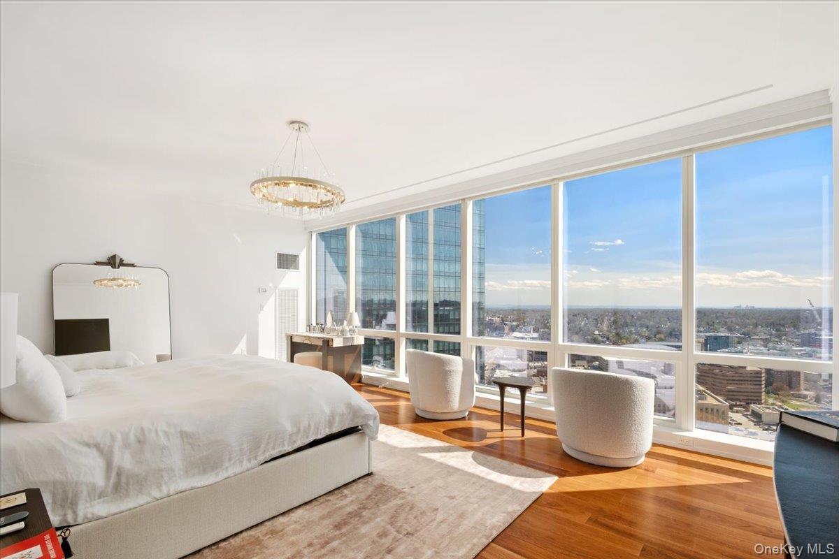 Condo Renaissance  Westchester County, NY 10601, MLS-973253-15