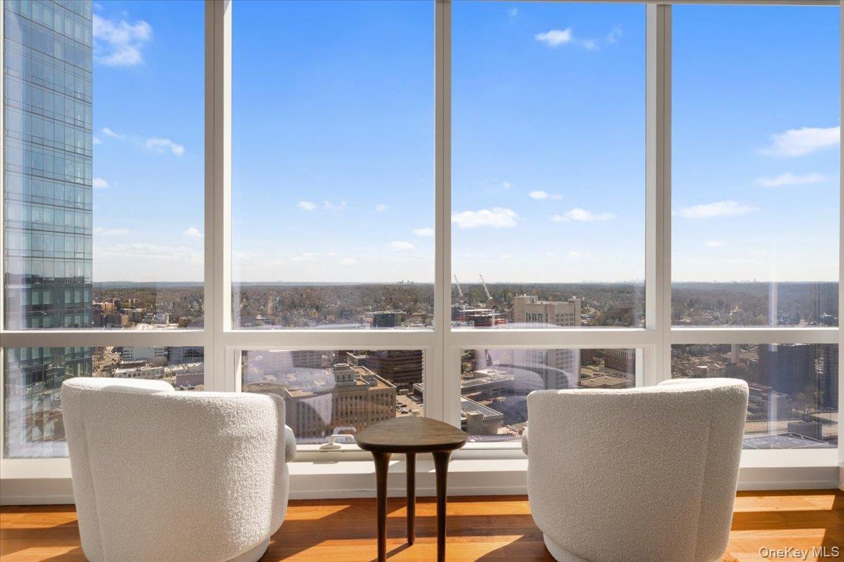 Condo Renaissance  Westchester County, NY 10601, MLS-973253-18