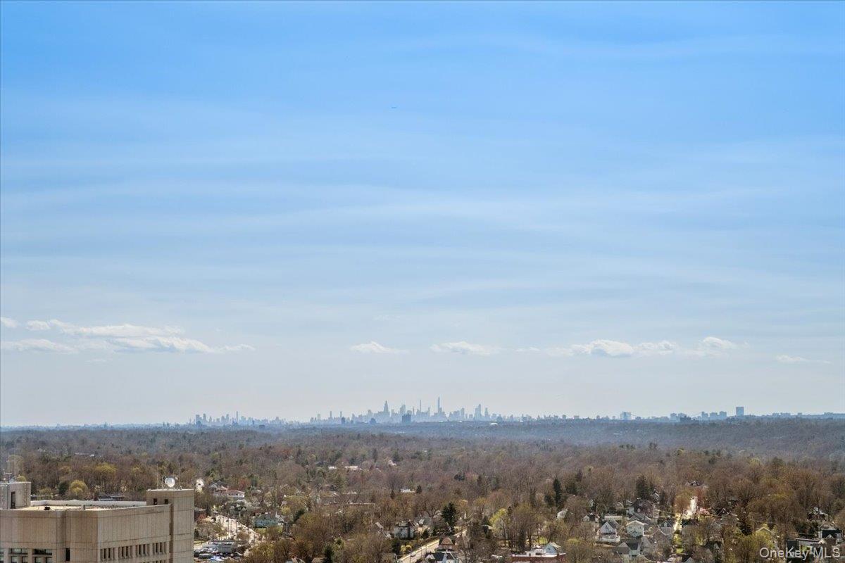 Condo Renaissance  Westchester County, NY 10601, MLS-973253-23