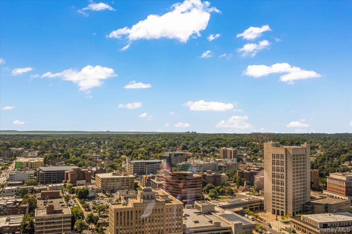 Condo Renaissance  Westchester County, NY 10601, MLS-973253-24