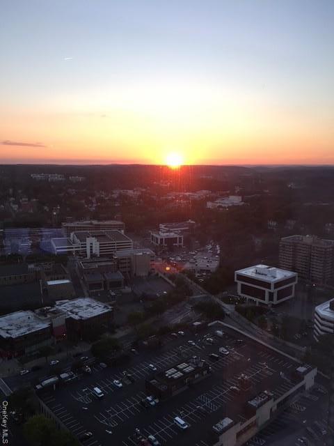 Condo Renaissance  Westchester County, NY 10601, MLS-973253-25