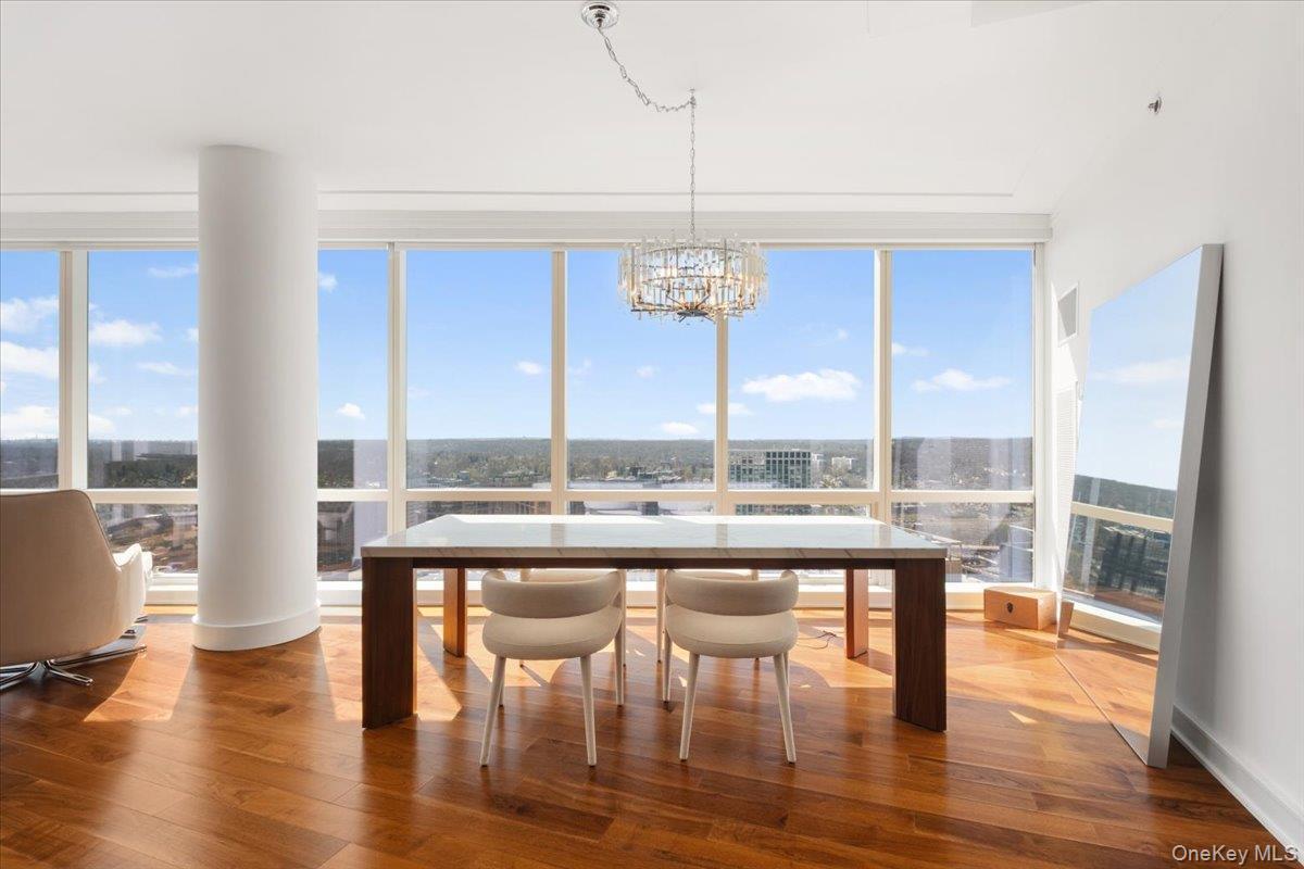 Condo Renaissance  Westchester County, NY 10601, MLS-973253-7