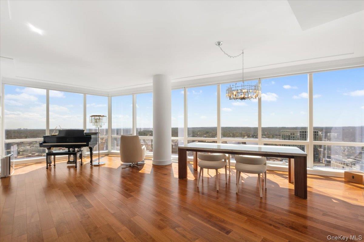 Condo Renaissance  Westchester County, NY 10601, MLS-973253-8