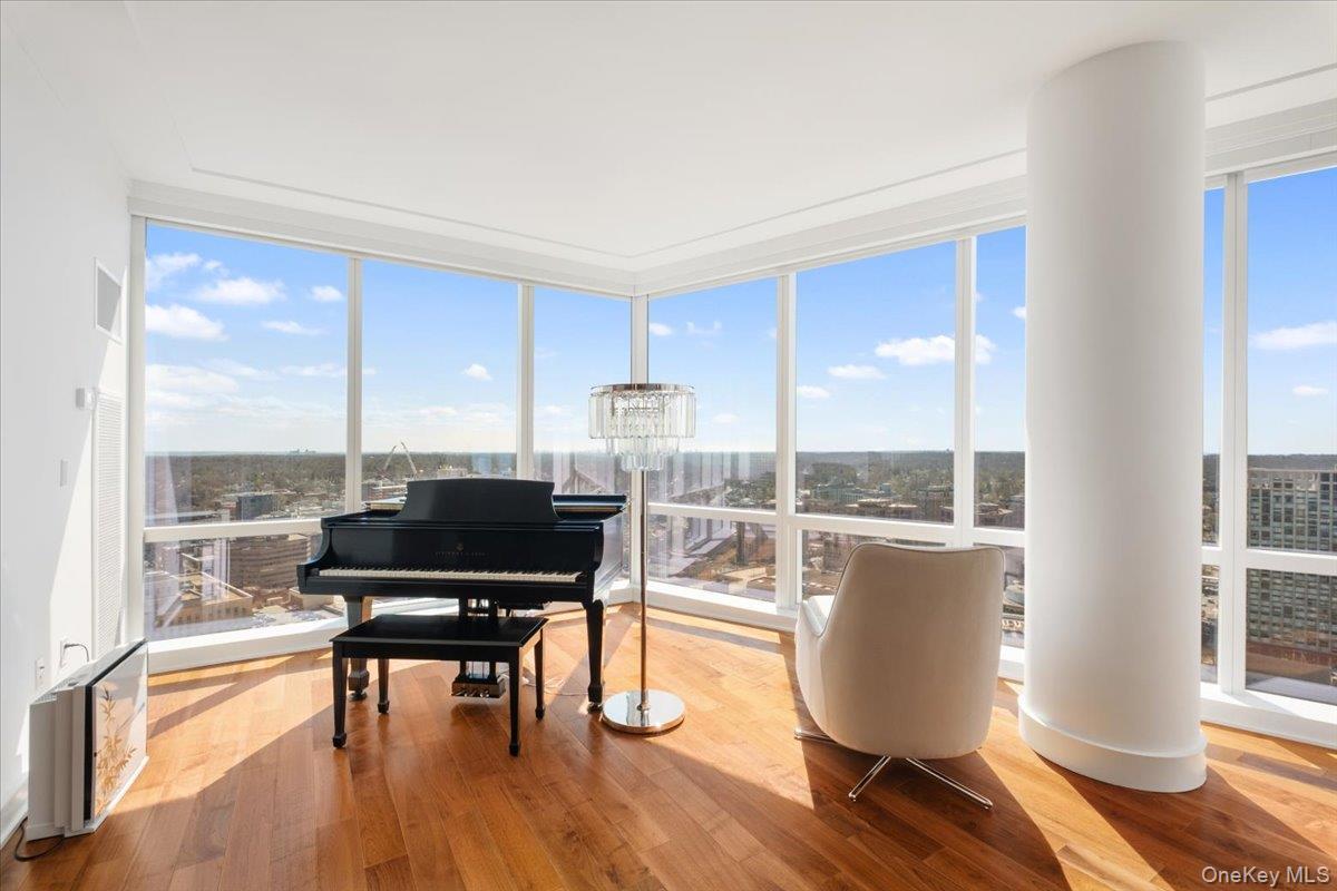 Condo Renaissance  Westchester County, NY 10601, MLS-973253-9