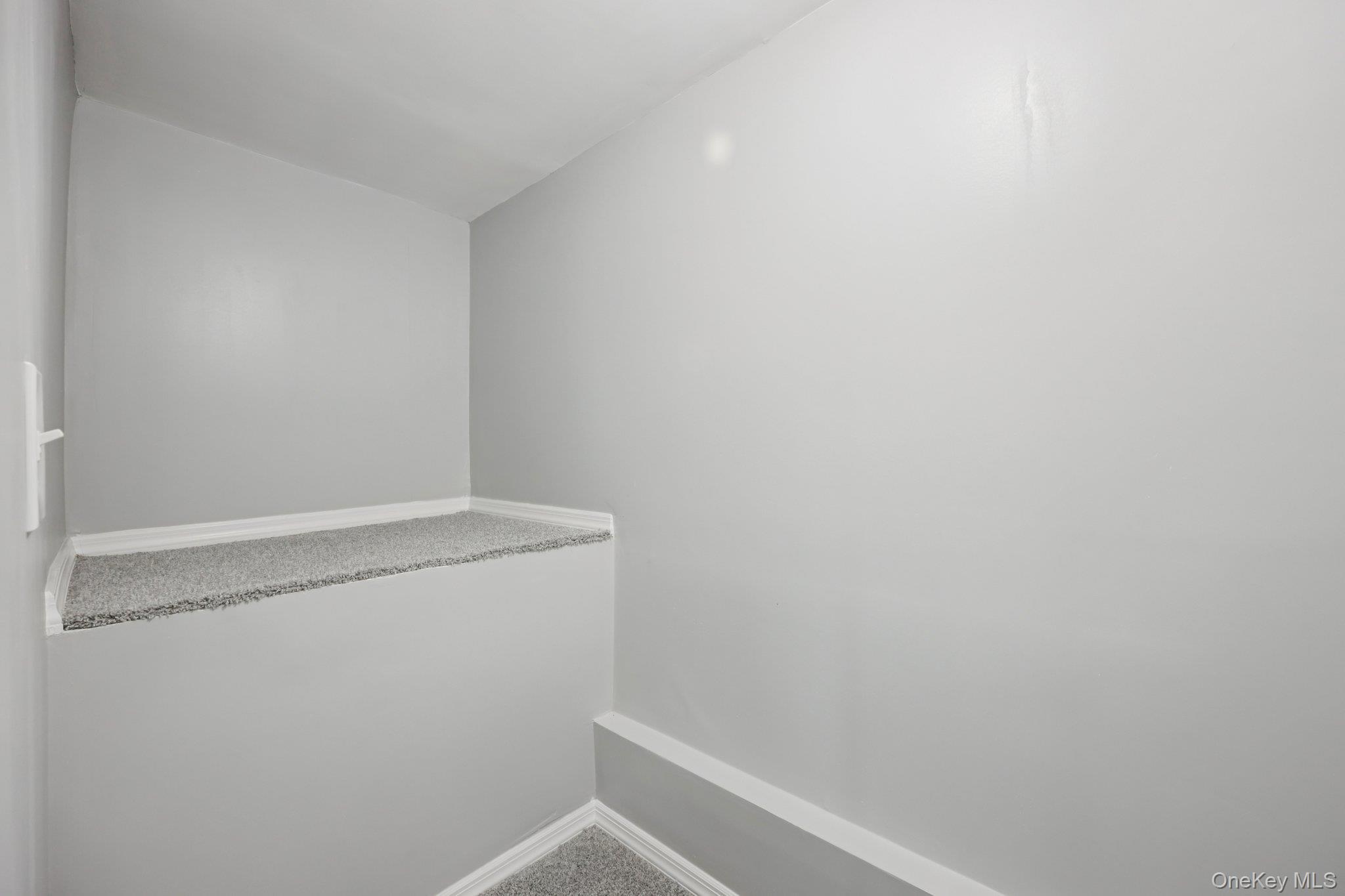 Single Family Cherry Suffolk County, NY 11722, MLS-973258-20