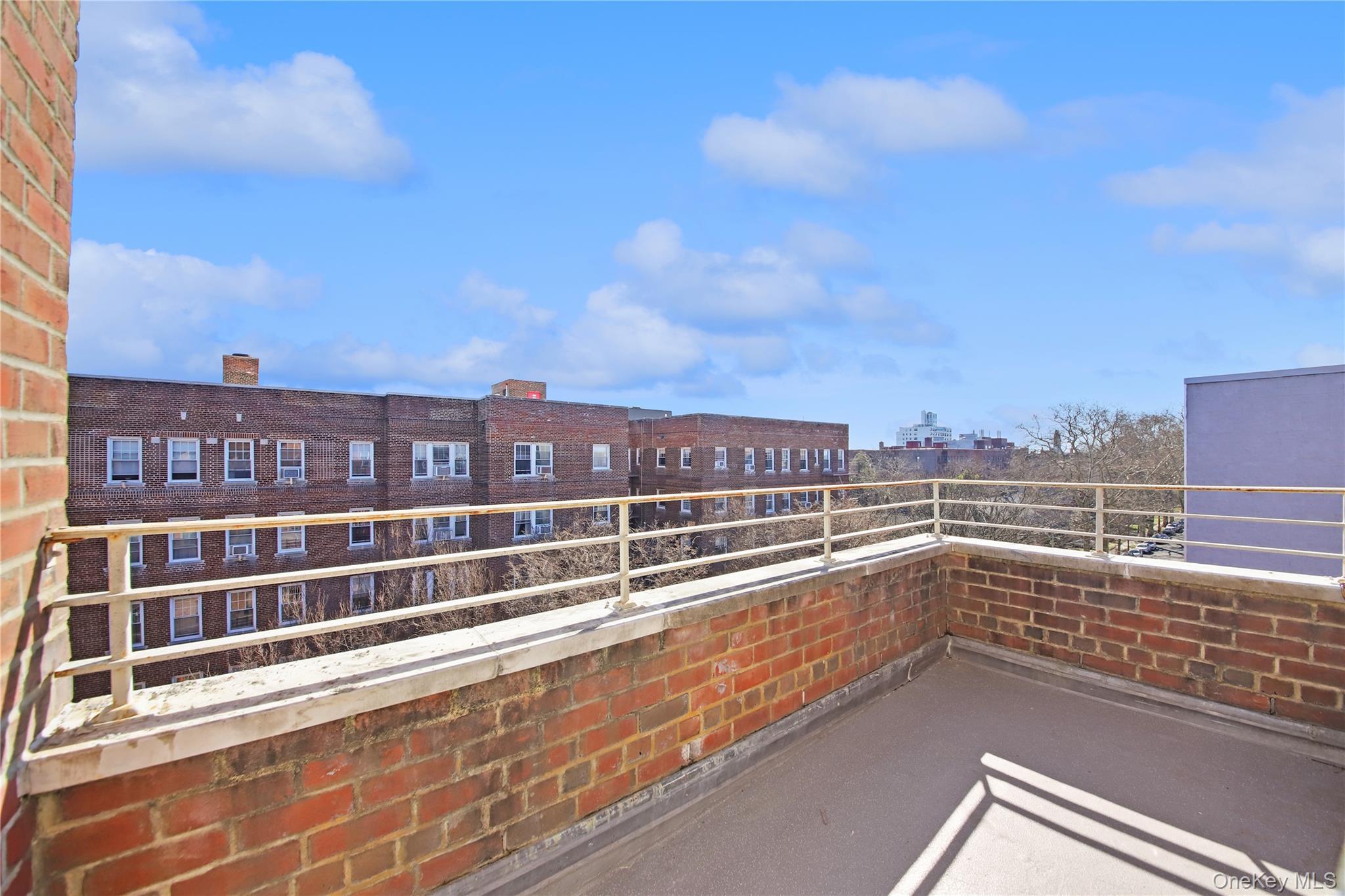 Coop Newkirk  Brooklyn, NY 11226, MLS-973259-10