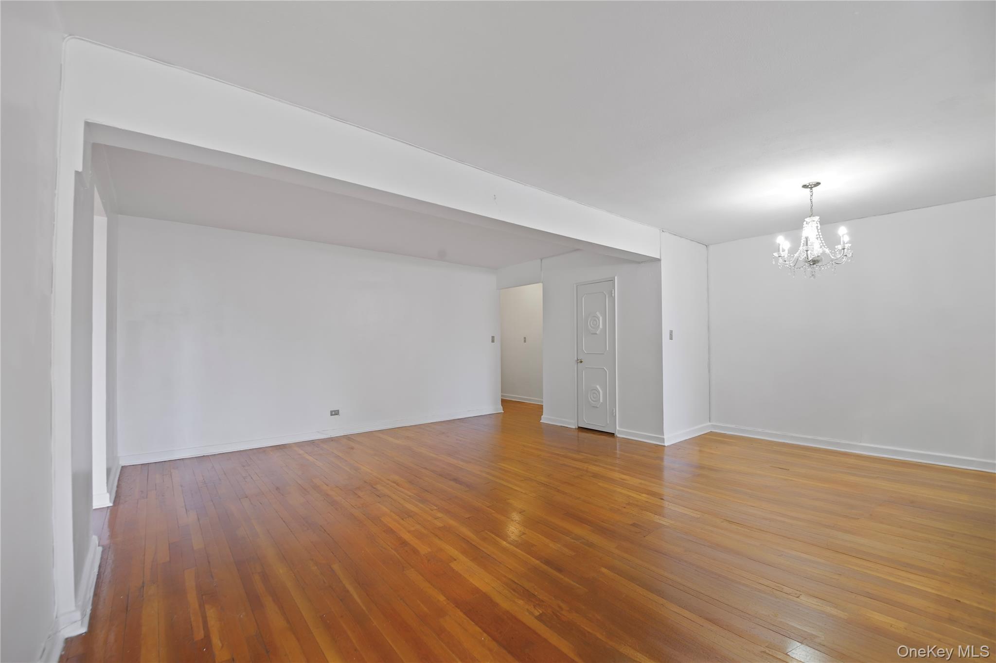 Coop Newkirk  Brooklyn, NY 11226, MLS-973259-4