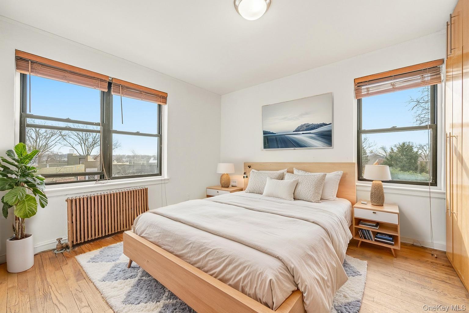 Condo 78  Queens, NY 11370, MLS-973278-6