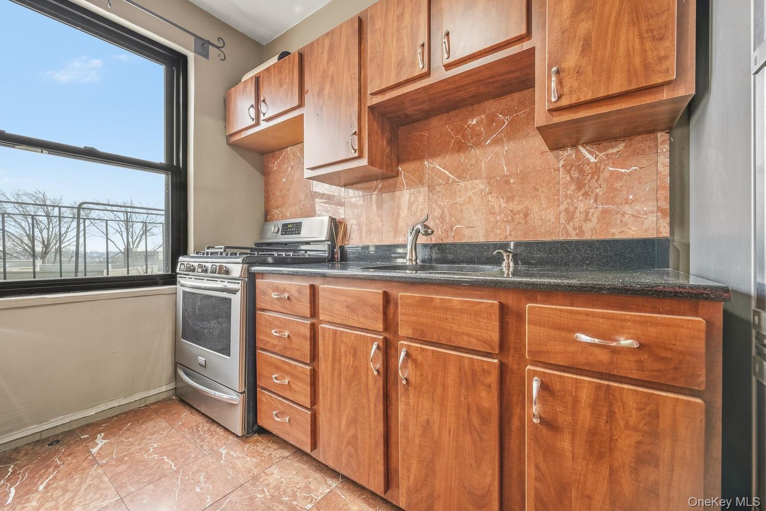 Condo 78  Queens, NY 11370, MLS-973278-9