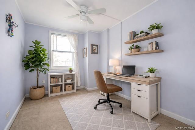 Single Family Seminole Bronx, NY 10461, MLS-973363-17