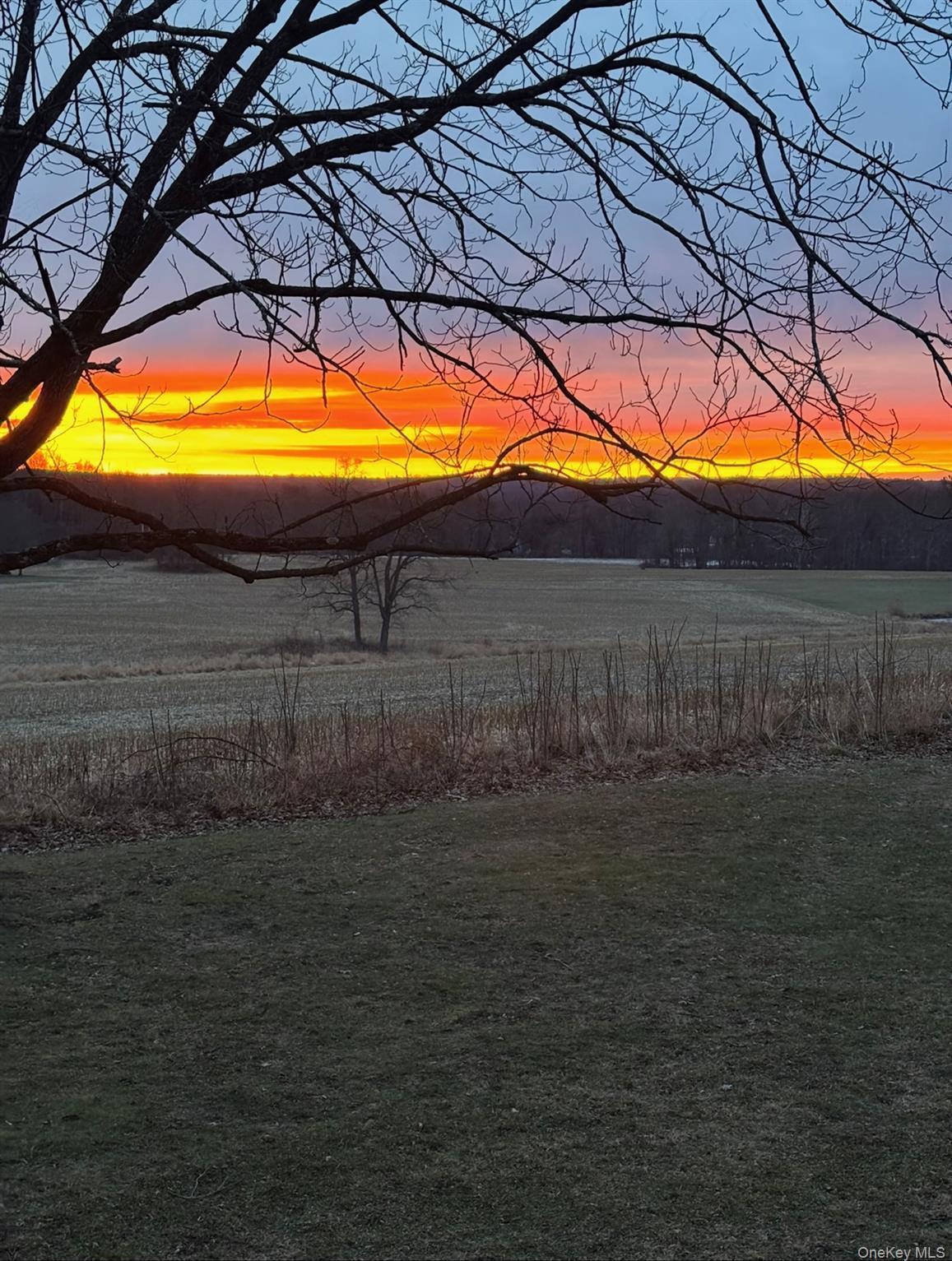 Single Family Rokeby  Dutchess County, NY 12571, MLS-973373-25