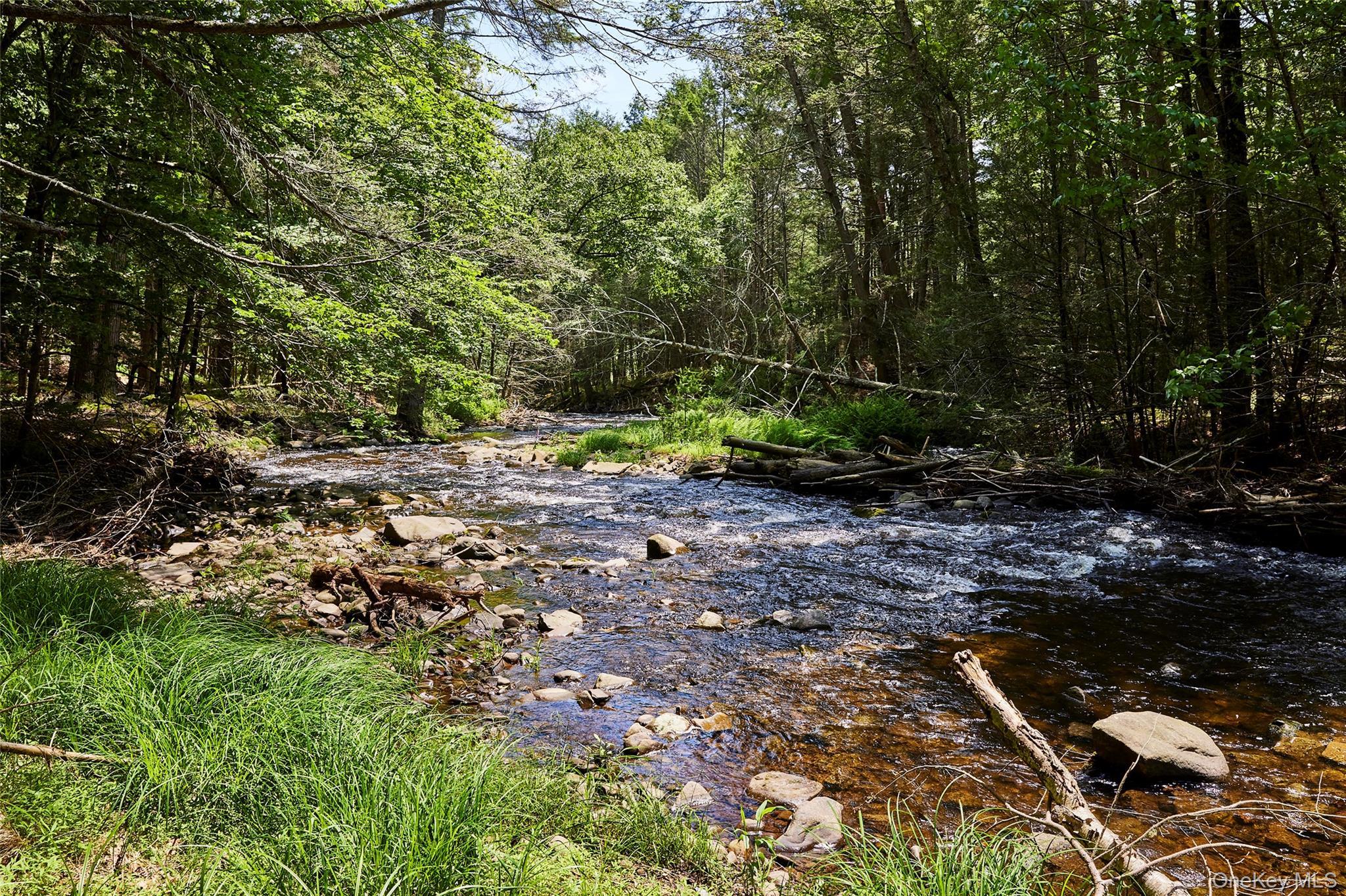 Single Family Upper Lumber  Sullivan County, NY 12737, MLS-973402-28