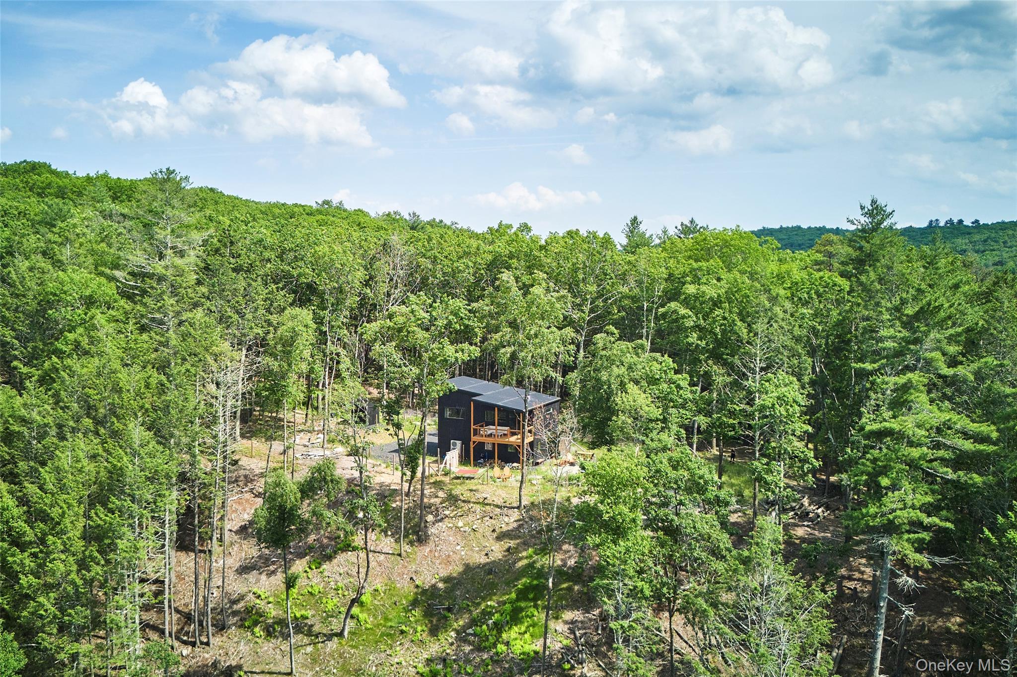 Single Family Upper Lumber  Sullivan County, NY 12737, MLS-973402-32