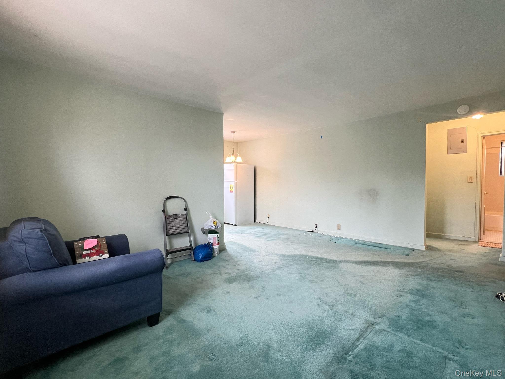 Coop 73rd  Queens, NY 11365, MLS-973436-3