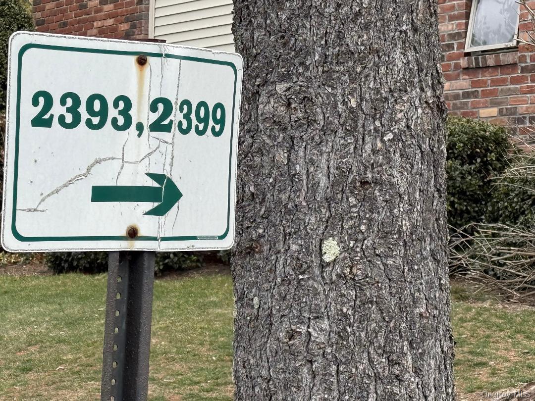 Coop Union  Suffolk County, NY 11751, MLS-973448-15