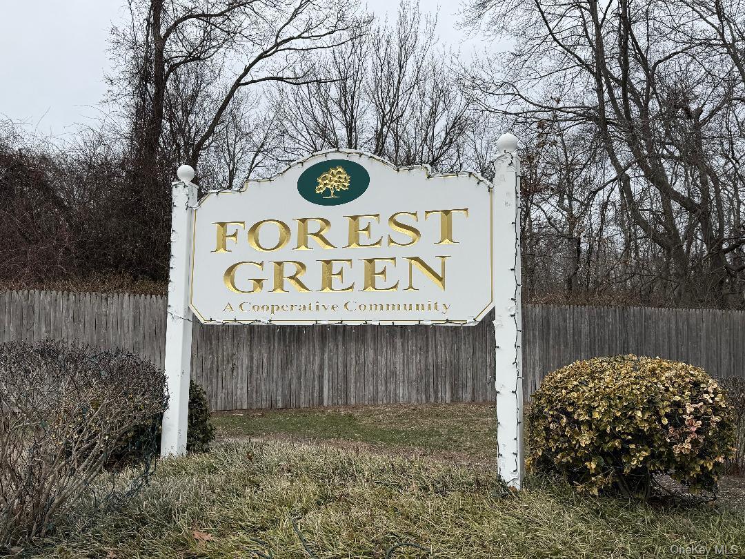 Coop Union  Suffolk County, NY 11751, MLS-973448-16