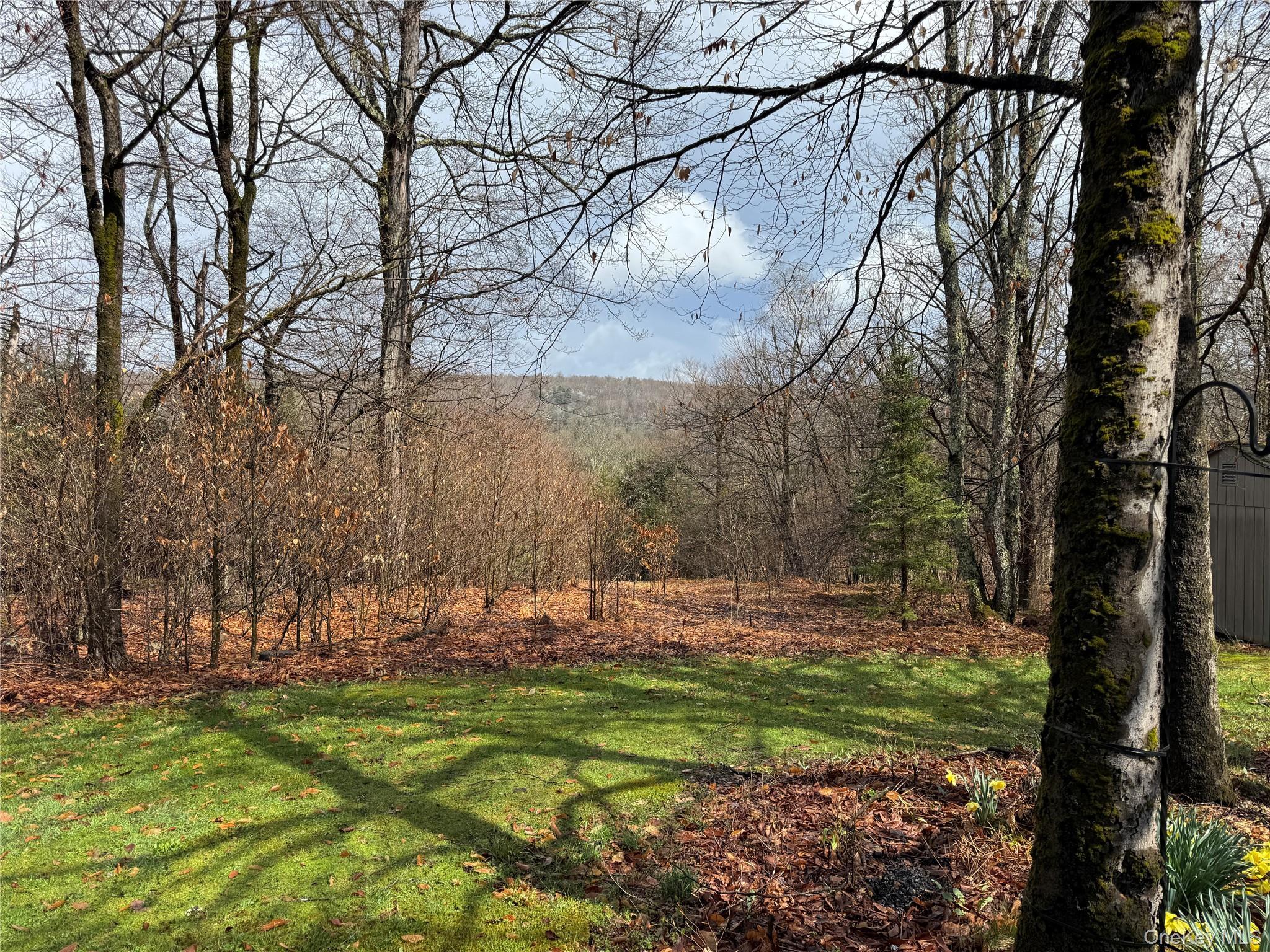 Single Family Maple  Sullivan County, NY 12758, MLS-973522-4