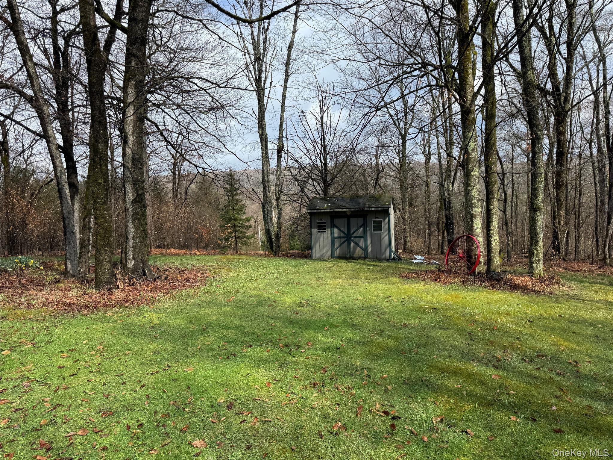 Single Family Maple  Sullivan County, NY 12758, MLS-973522-6