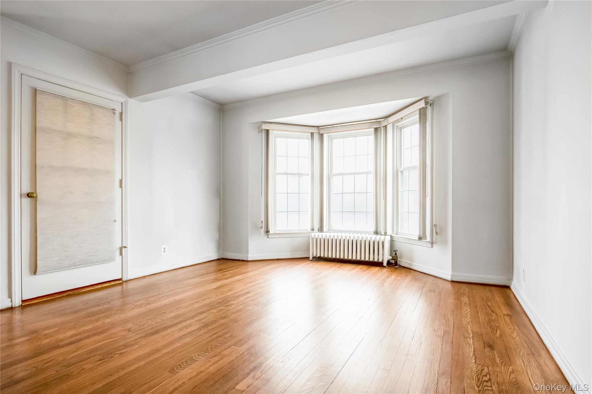 Single Family Greystone  Nassau County, NY 11570, MLS-973549-4