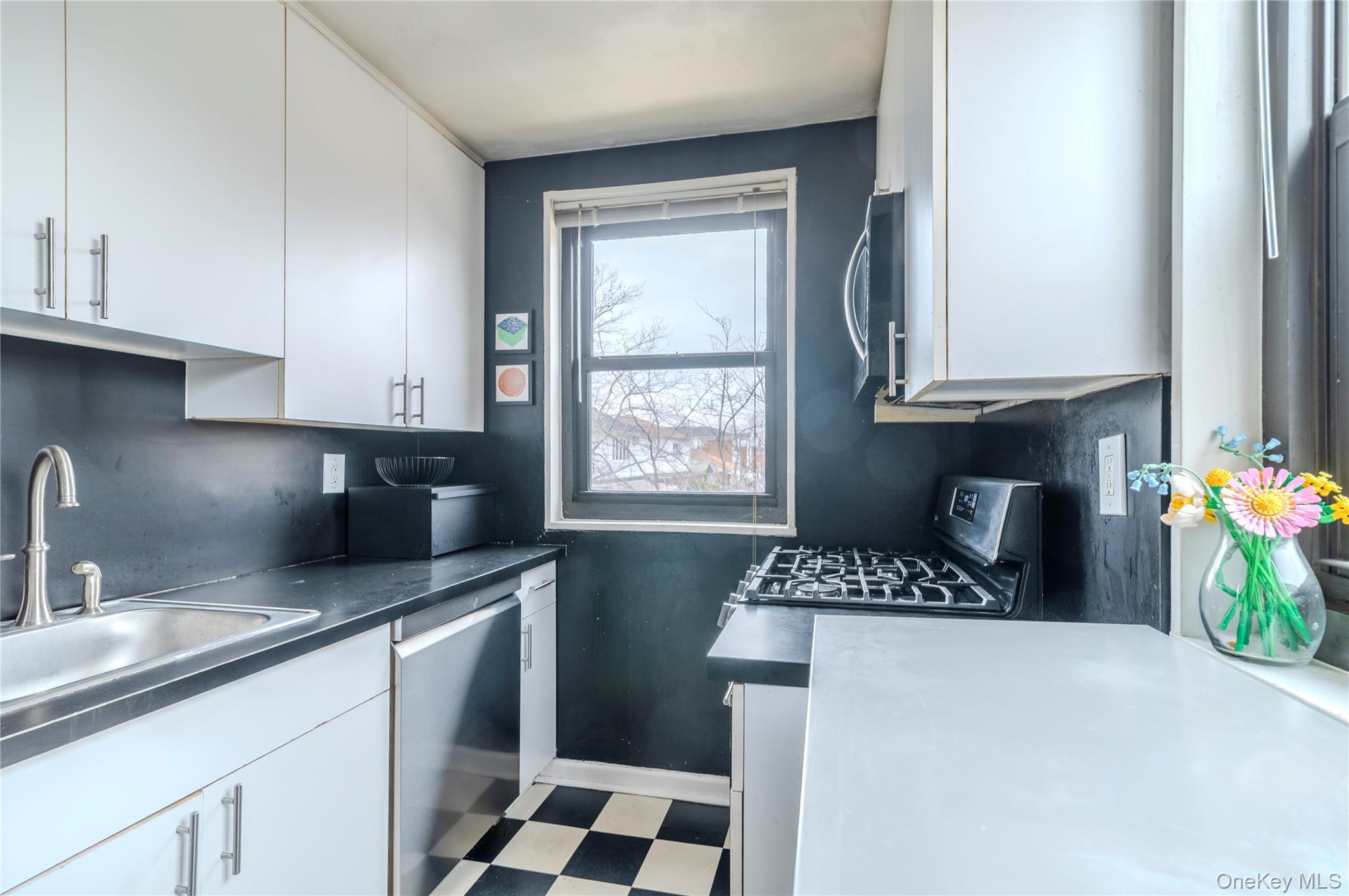 Coop 16th  Queens, NY 11357, MLS-973578-10