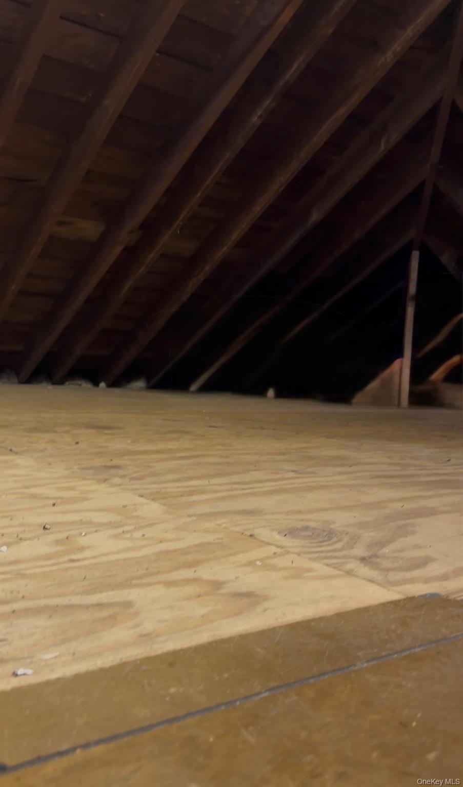 Coop 16th  Queens, NY 11357, MLS-973578-16