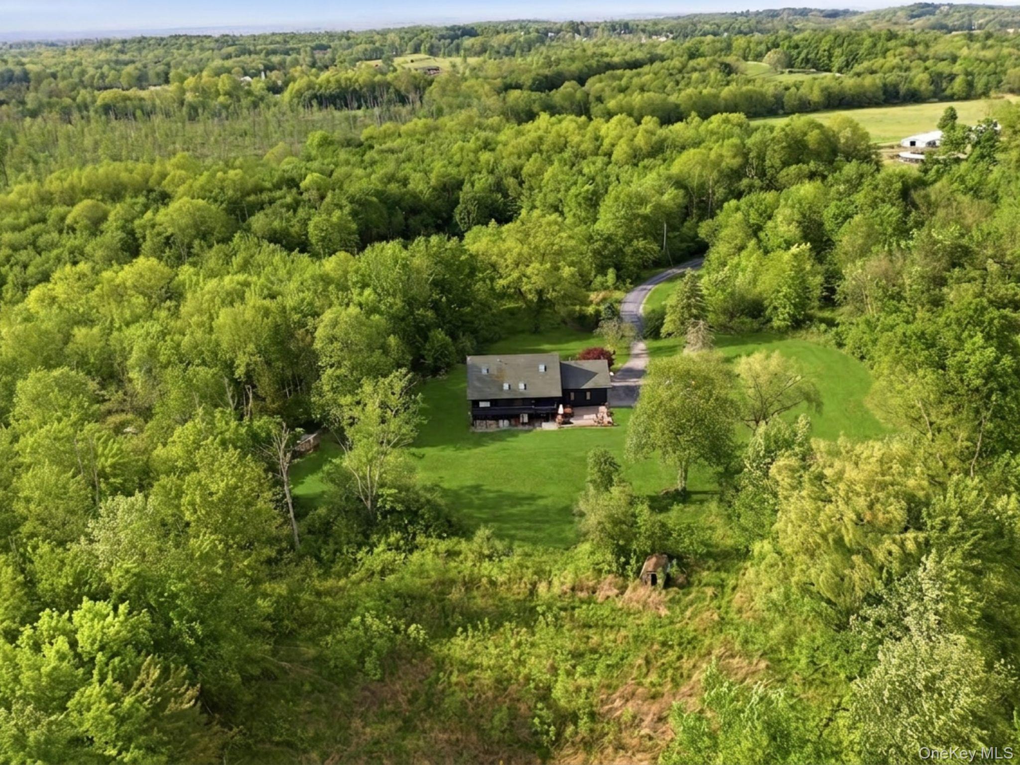 Single Family Svenski Road Orange County, NY 12549, MLS-973605-48