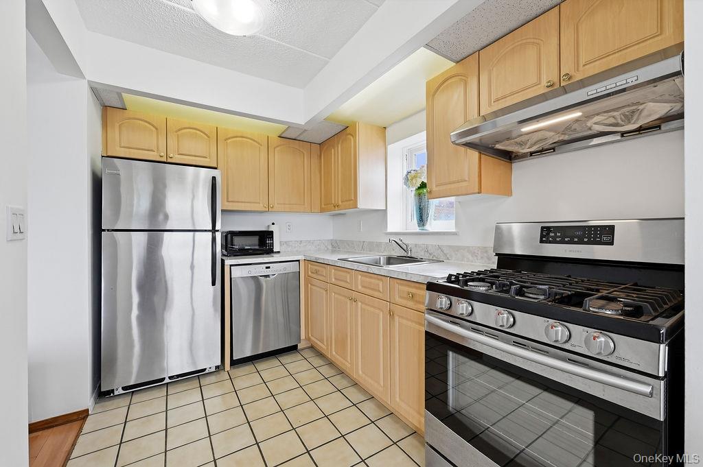 Condo 41st Queens, NY 11355, MLS-973660-6