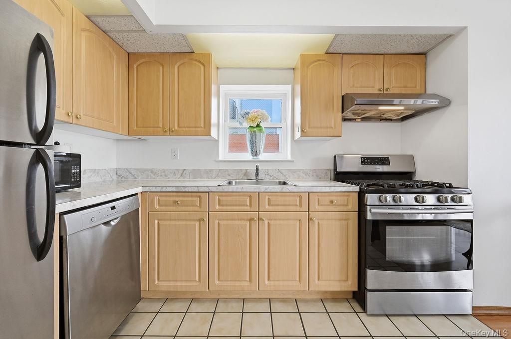 Condo 41st Queens, NY 11355, MLS-973660-9