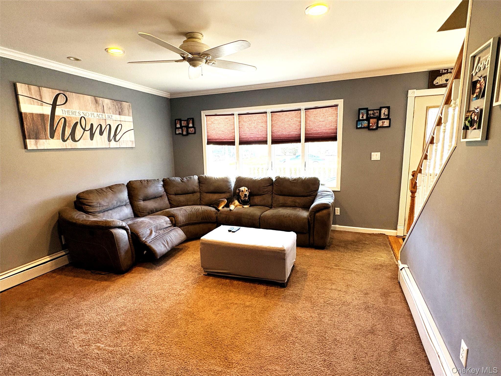 Single Family Kime  Suffolk County, NY 11703, MLS-973692-8