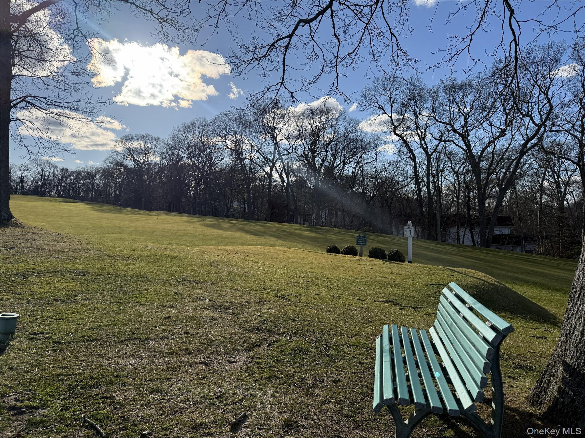 Condo Skyline  Suffolk County, NY 11727, MLS-973743-20