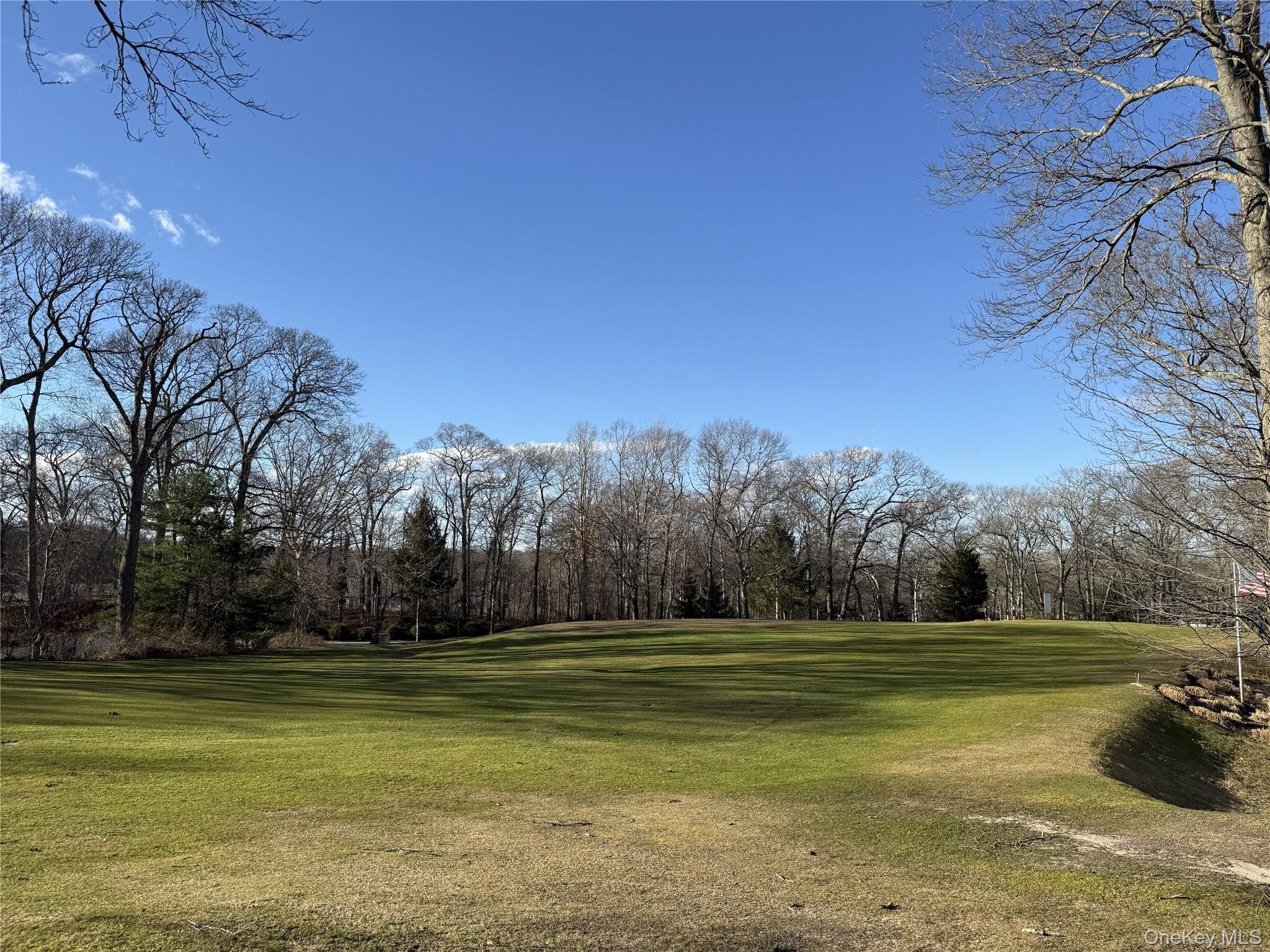 Condo Skyline  Suffolk County, NY 11727, MLS-973743-23