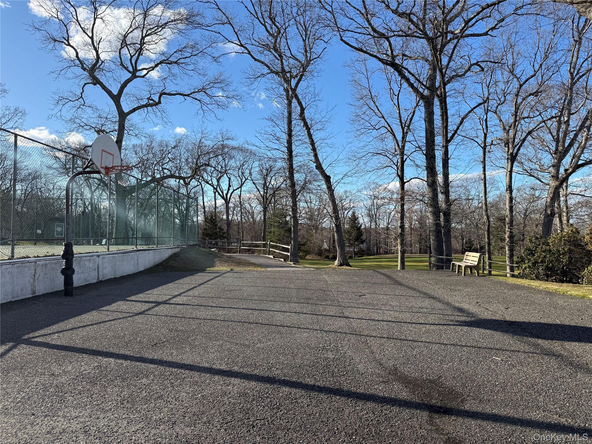 Condo Skyline  Suffolk County, NY 11727, MLS-973743-27